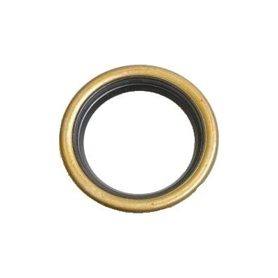 Gufero pro Briggs – Sleviste.cz