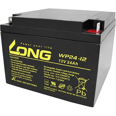 Long WP24-12 12 V 24 Ah