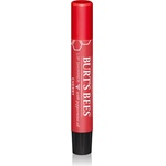 Burt's Bees Lip Shimmer блясък за устни цвят Cherry 2.6 гр