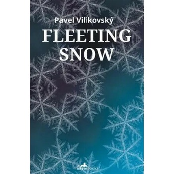 Image 1 of Fleeting Snow | Pavel Vilikovský