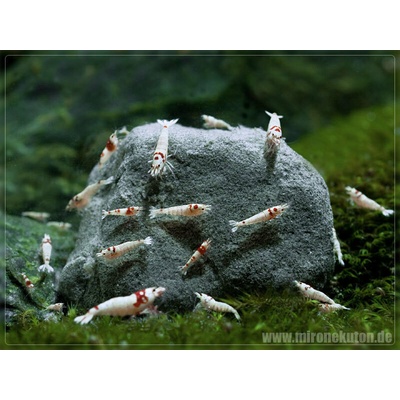 Benibachi Mironekuton 100% 60 g