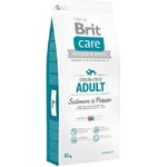 Brit Care - Grain-free Adult Salmon & Potato 12 kg