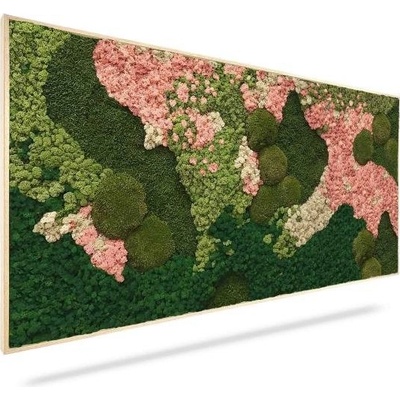 Machový obraz ORTHO PINK, 100x40cm, drevený biely rám