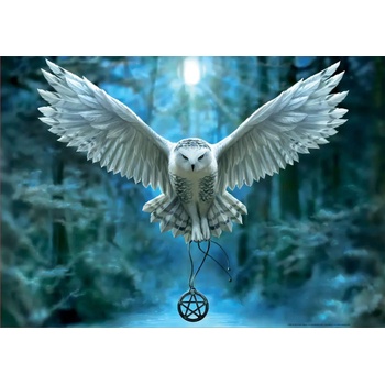 Educa - Puzzle Anne Stokes: Awake Your Magic - 500 piese