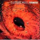 CATHERINE WHEEL: FERMENT CD