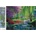 Norimpex - Puzzle Diamant painting: Summer in the park 30x40cm - 1 - 39 piese