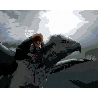 Zuty malování Podle čísel Harry Potter Letící Na Klofanovi 40 x 50 Cm Plátno