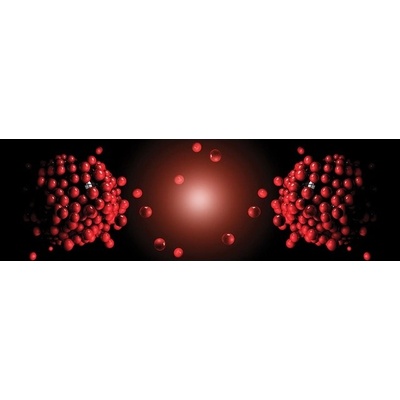 Preinterier FT4042 Fototapeta na stenu 3D gule vlies 620cm x 219cm