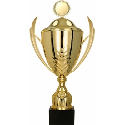 Kovový pohár s poklicí Zlatý 35 cm 12 cm