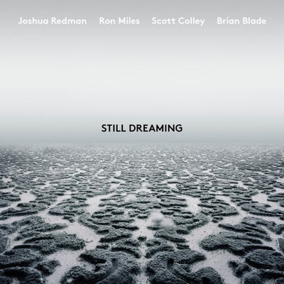 REDMAN, JOSHUA - STILL DREAMING CD