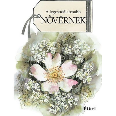 A legcsodálatosabb nővérnek