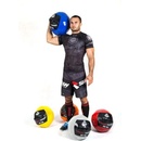 Bushido Wall ball 6 Kg