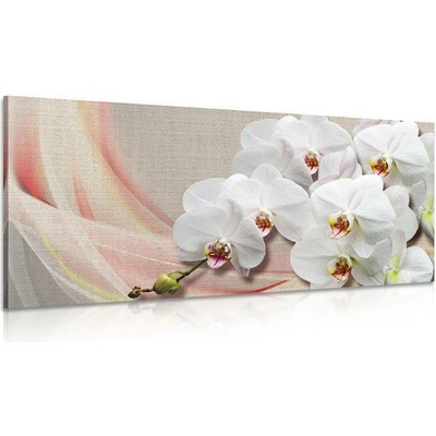 Obraz bílá orchidej na plátně - 100x50