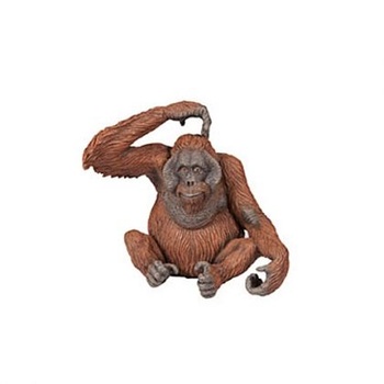 Papo - Фигурка за колекциониране и игра - Орангутан (50120)