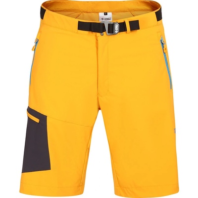 Direct Alpine Cruise Short 2.0