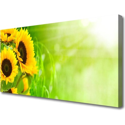 Obraz na plátne Slnečnicami rastlina 100x50 cm