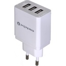everActive SC-300