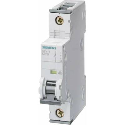Siemens 5SY41106