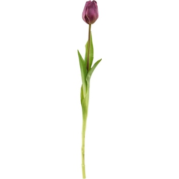 Butlers FLORISTA Tulipán - fialová