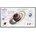 Samsung Flip Pro WM75B