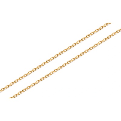 iZlato Forever Zlatá minimalistická retiazka anker IZ23167