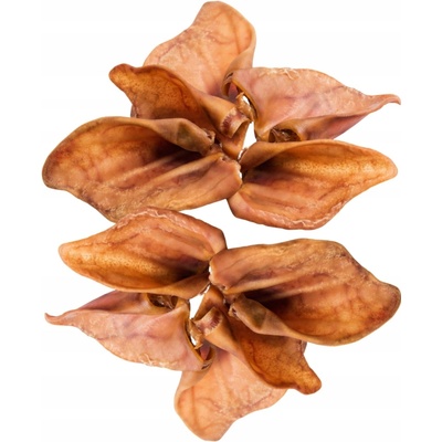 PETMEX Vepřové ucho 40 g 10 ks