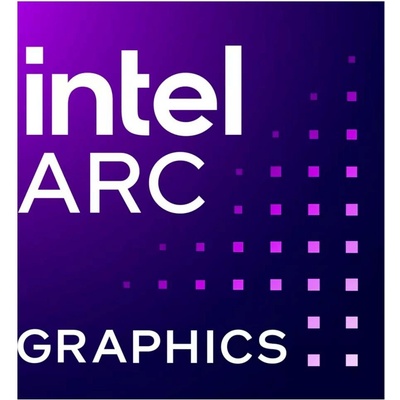 Intel Arc Pro B50 16GB GDDR6 33P6PEB0BB
