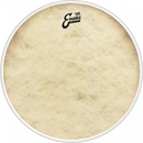 Evans BD22GB4CT