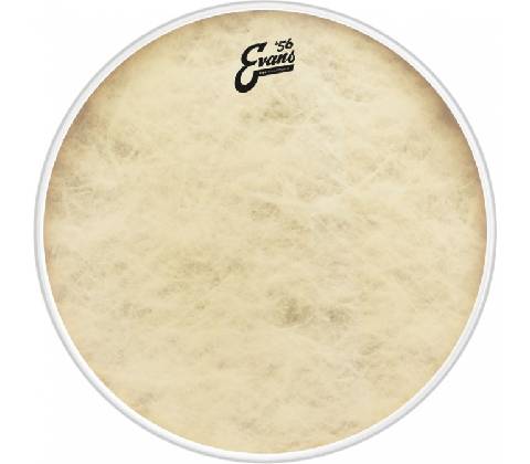 Evans BD22GB4CT