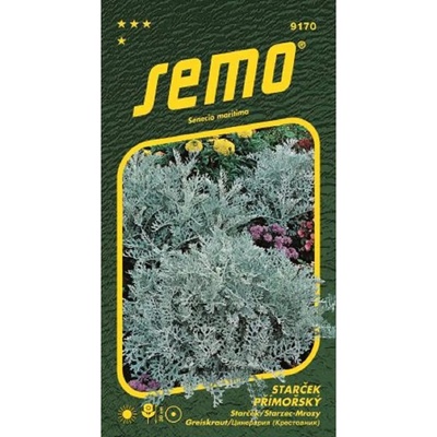Starček prímorský Silverdust SEMO 0.3g