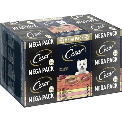 Cesar Adult Dog Klassik Terrine Selection miešané Garden Terrine 24 x 150 g
