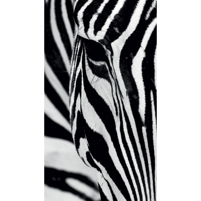 FOTOZÁVĚS ZEBRA (BLACK OUT)