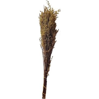 Caspia 100 g - žlutá