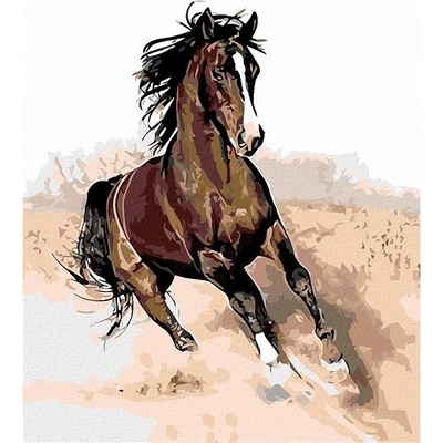 Zuty Malování podle čísel Hnědák v písku 80 x 100 cm bez rámu a bez vypnutí plátna