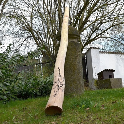 Didgeridoo Elephant 191 cm jilm ladění H C