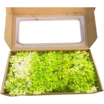 Hydrangea stabilizovaná box - mix bílá/zelená 100 g