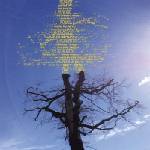 Laetitia Sadier - Rooting For Love (Limited Edition) (LP) (5063176020413)