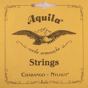 Aquila 1CH