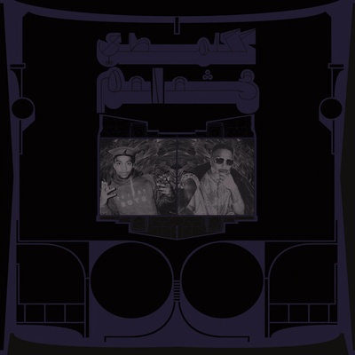 SHABAZZ PALACES - EXOTIC BIRDS OF PREY CD