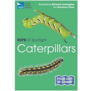 RSPB ID Spotlight - Caterpillars | Marianne Taylor (ISBN: 9781472989116)