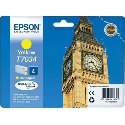 Epson T7034