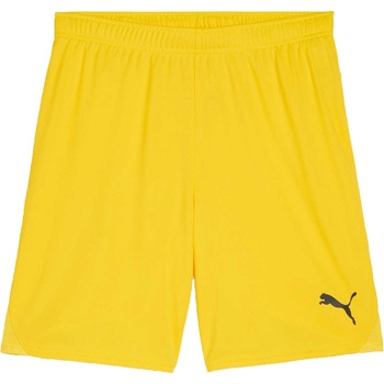 PUMA Teamgoal shorts m