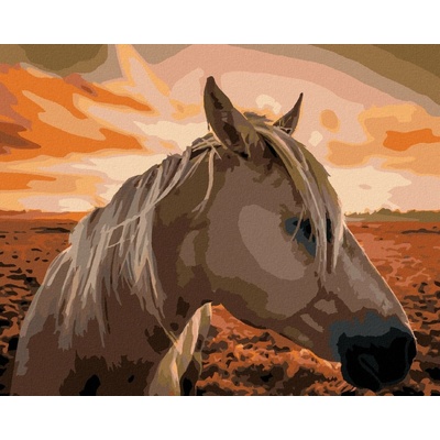 Zuty Malování Podle Čísel Kůň Při Západu Slunce 80 x 100 cm Plátno Rám