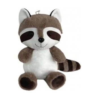 SUN-DAY RACCOON