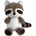 SUN-DAY RACCOON