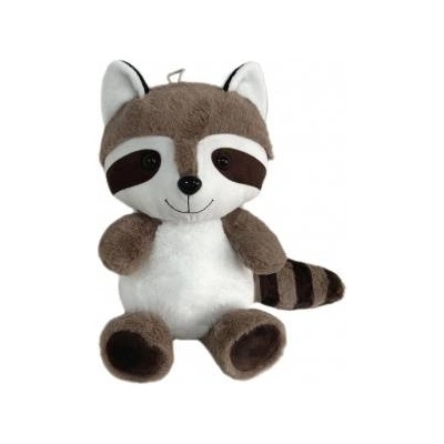 SUN-DAY RACCOON