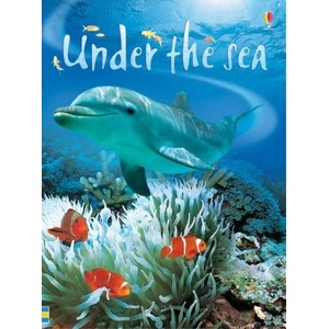 Under the Sea | Fiona Patchett (ISBN: 9780746074879)