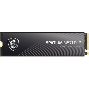 MSI SPATIUM M571 2TB (S78-440Q1K0-P83)