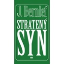 Stratený syn - J. Bernlef