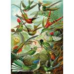 KS Games - Puzzle Haeckel: Hummingbirds - 1 500 piese